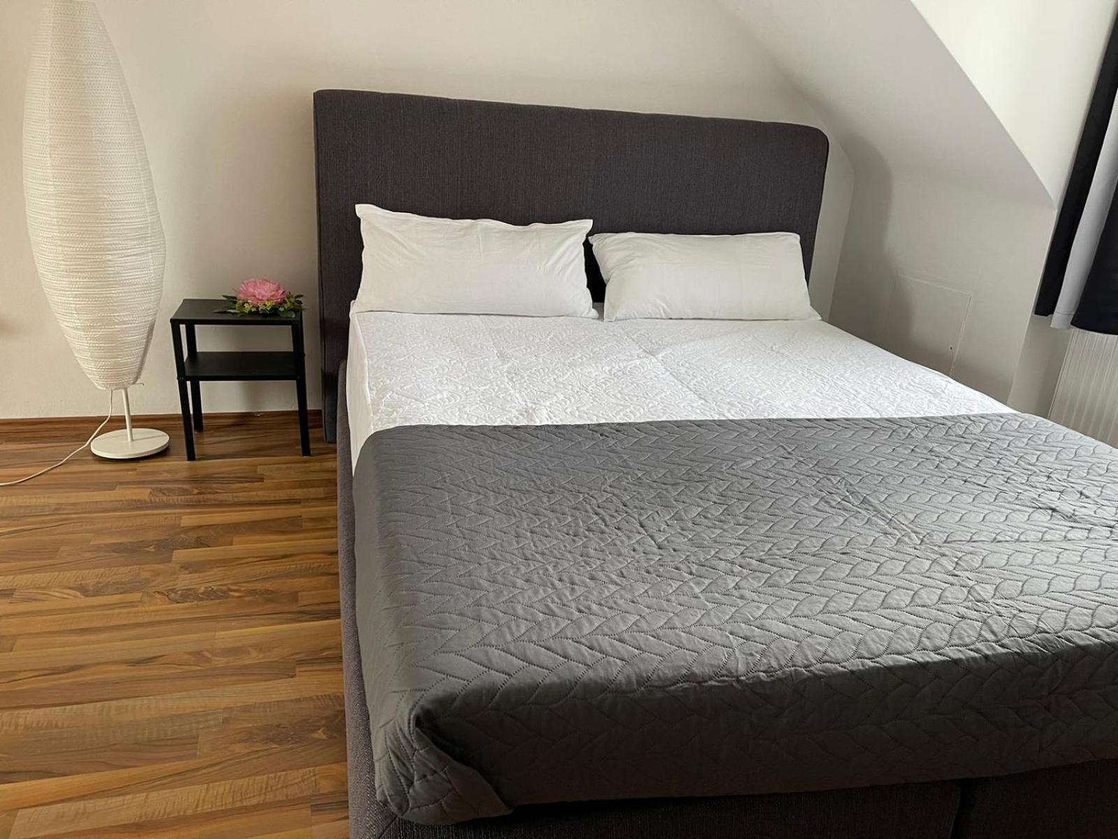 Geraeumige 3-Zimmer-Ferienwohnung Im Herzen Von Kassel Exteriér fotografie